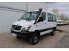 inzerát fotka: Mercedes-Benz Sprinter 313 CDI 4x4 IGLHAUT 9m+klima 